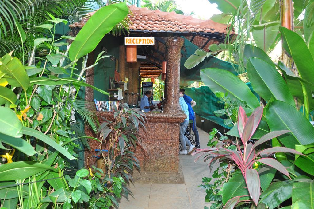 Villa Theresa Beach Resort Calangute Exterior foto