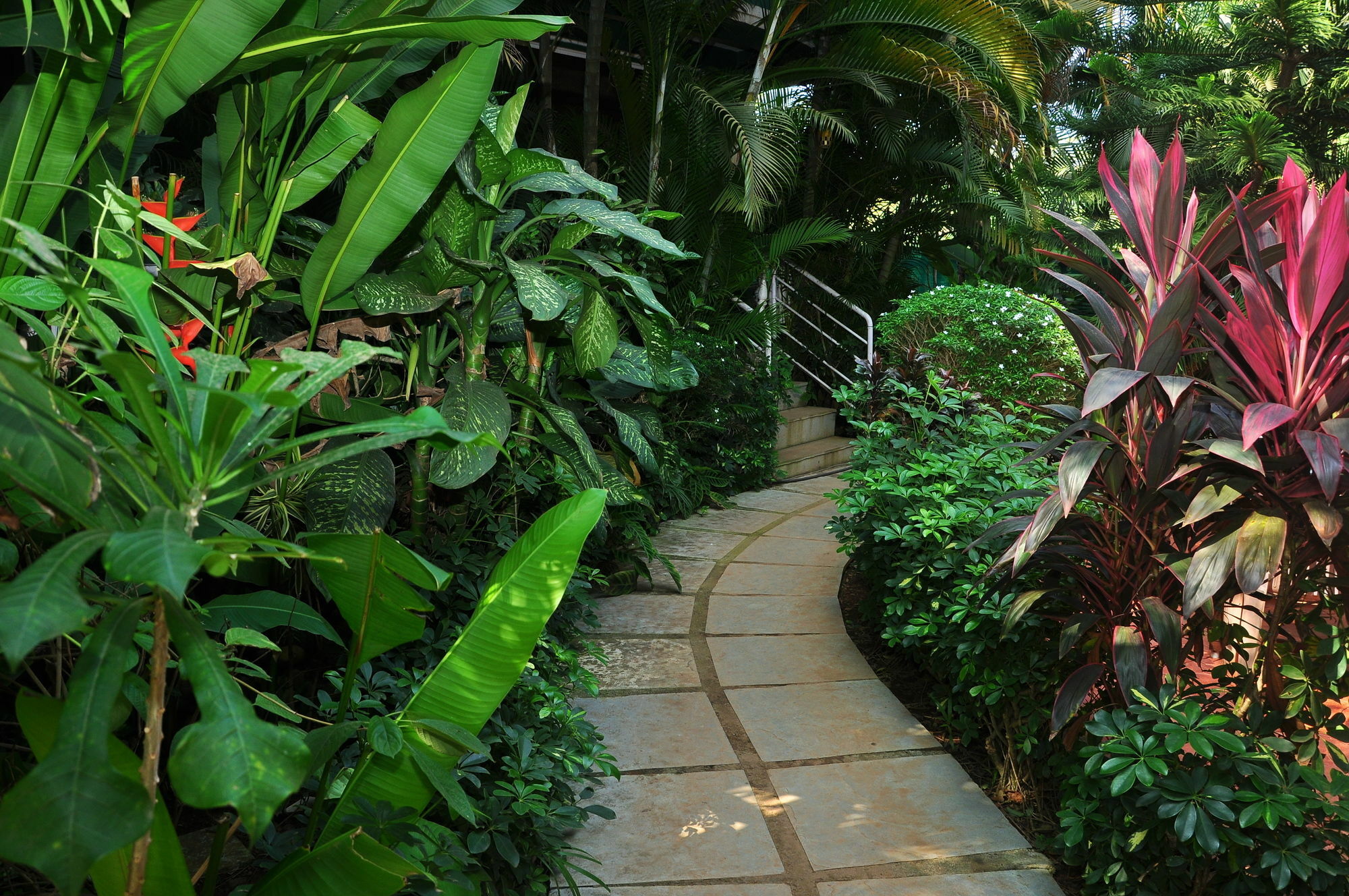 Villa Theresa Beach Resort Calangute Exterior foto